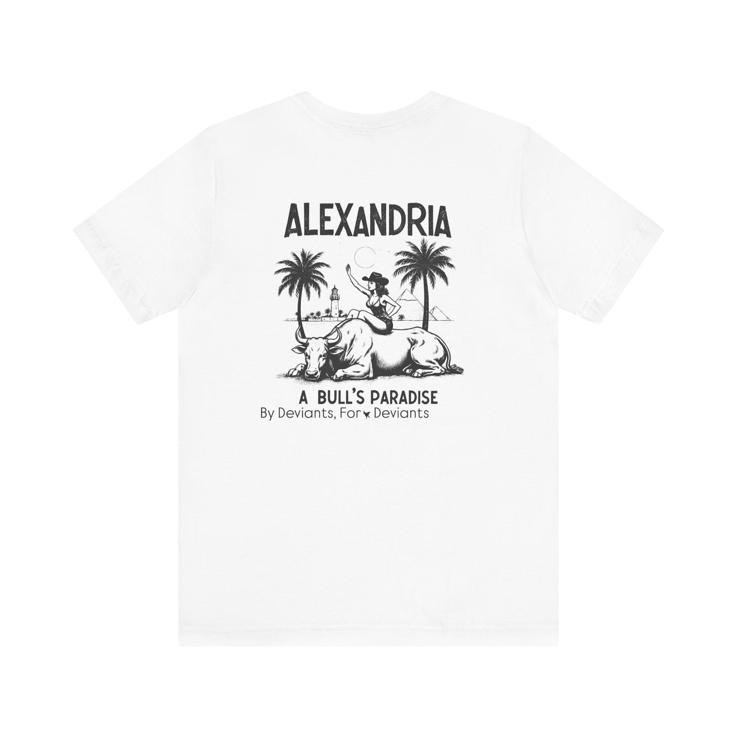 Enjoy Alexandria 'Bulls Needed' Graphic Tee — Vintage Bull Rider Beach Shirt