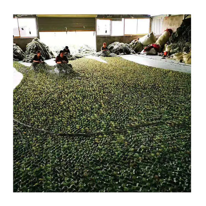 Jungle Camouflage Net