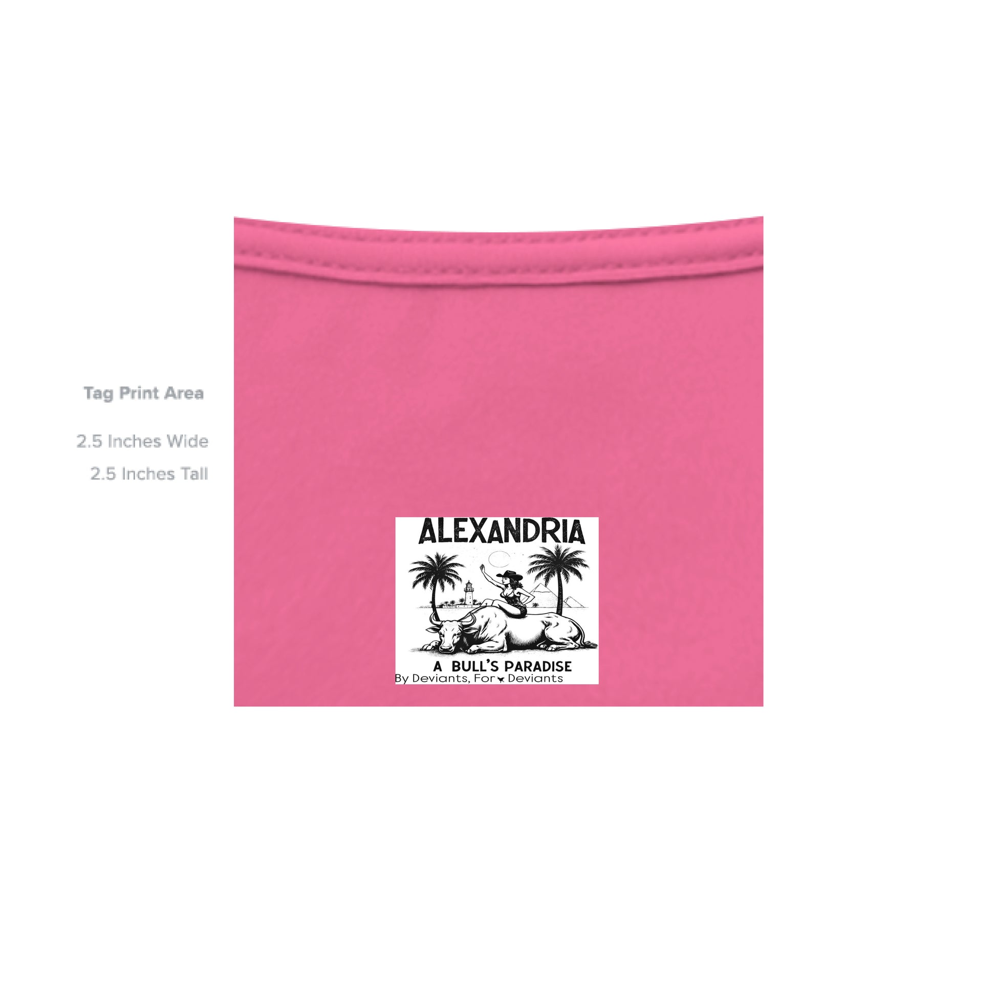 SAFETY PINK - INSIDE_TAG_LINE